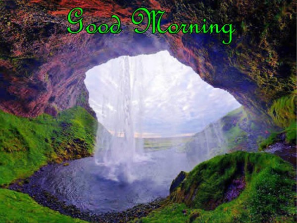 Good Morning With Amazing Nature-wg01340