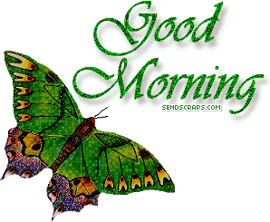 Good Morning With Beautiful Butterfly !-wb01131