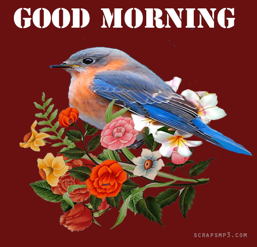 Good Morning With Bird-wg01738