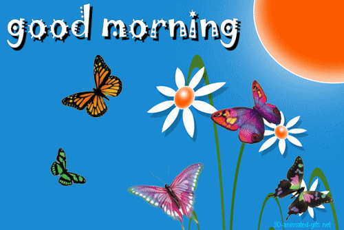 Good Morning With Butterflies-wg01211