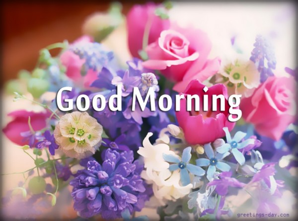 Good Morning With Colorful Flowers-wg01740