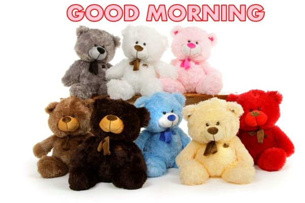 Good Morning With Colorful Teddy-wm1827