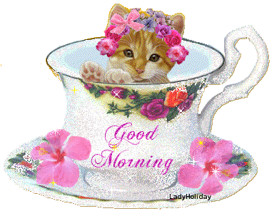 Good Morning With Cute Cat Image-wb01138