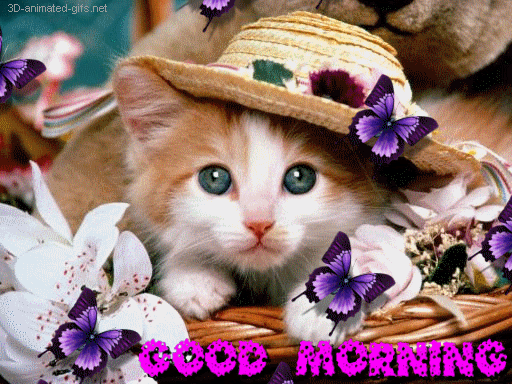 Good Morning With Cute Cat !-wg01213