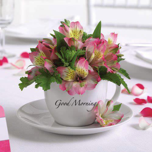 Good Morning With Decorative Cup-wg017102