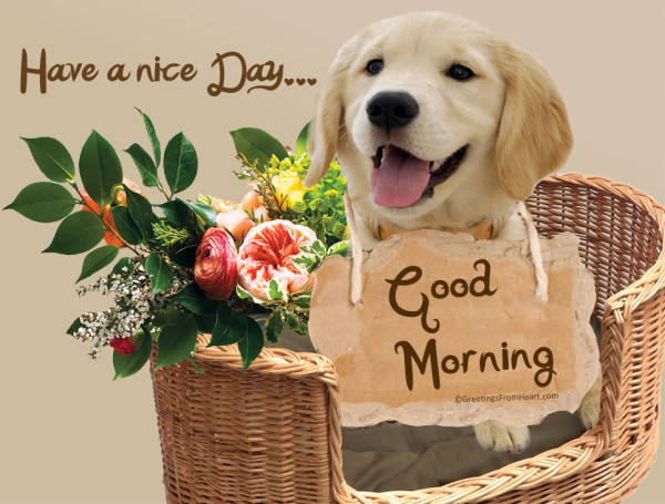 Good Morning With Dog-wg002