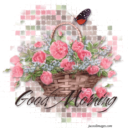 Good Morning With Flower In Basket-wb01142