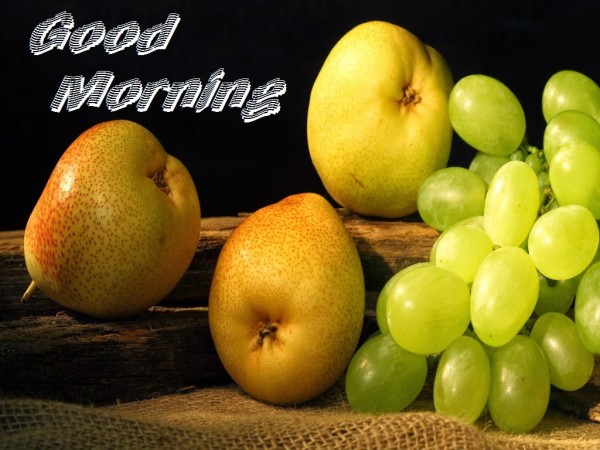 Good Morning With Fruits-wg3709