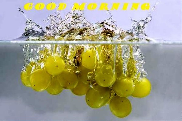 Good Morning With Grapes-wg01344