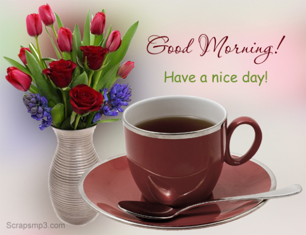 Good Morning With Hot Tea And Vase-wg01746