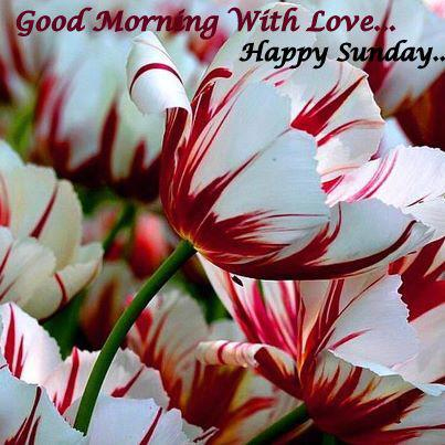 Good Morning With Love Happy Sunday !-wg017110