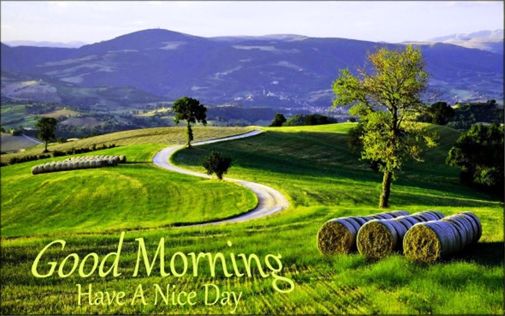 Good Morning With Nature Image - Good Morning Wishes & Images