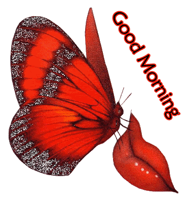Good Morning With Red Butterfly Image.