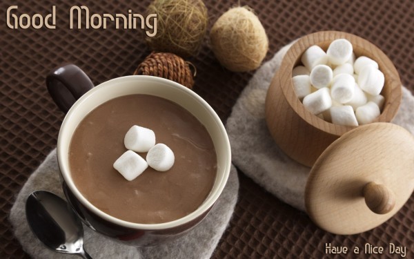 Good Morning With Sugar Cubes-wg015044
