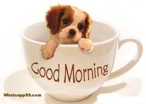 Good Morning With Sweet Little Puppy-wg001