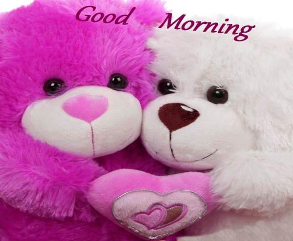 Good Morning With Teddy Image-wm1833