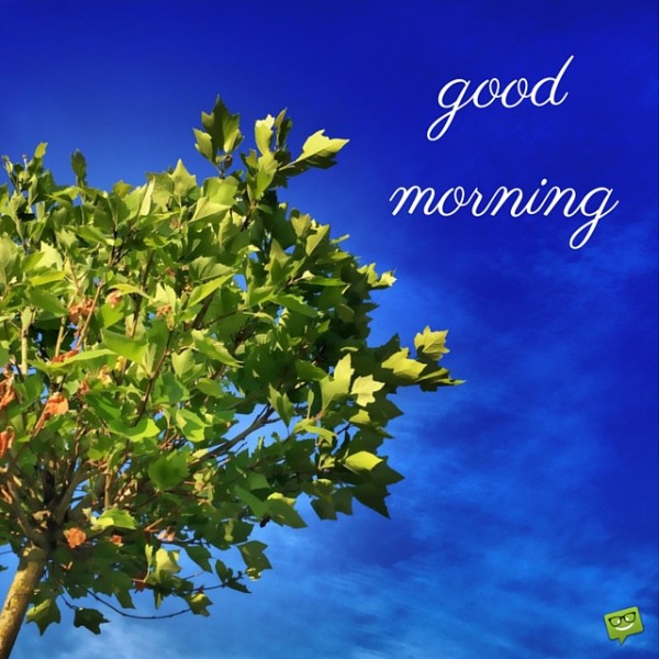 Good Morning With Tree-wg01755