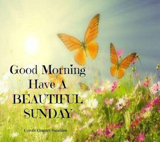 Good Morning have A Beautiful Sunday !!-wg0707