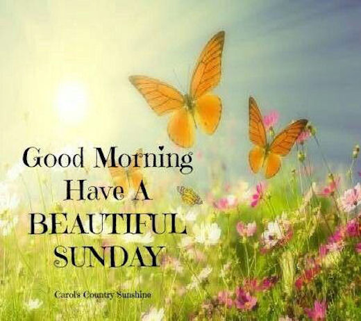 Good Morning have A Beautiful Sunday !!