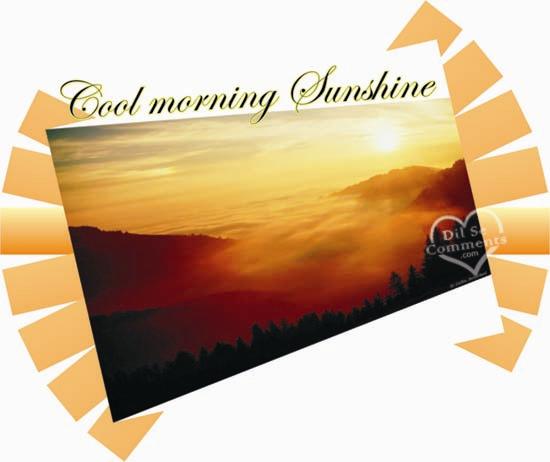 Good morning Sunshine !!-wg36309
