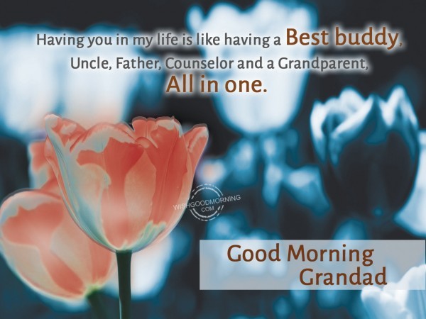 Grand Dad Good Morning-wm2408