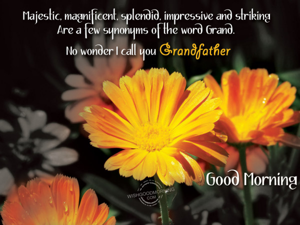 Grand Father Good Morning-wm2409