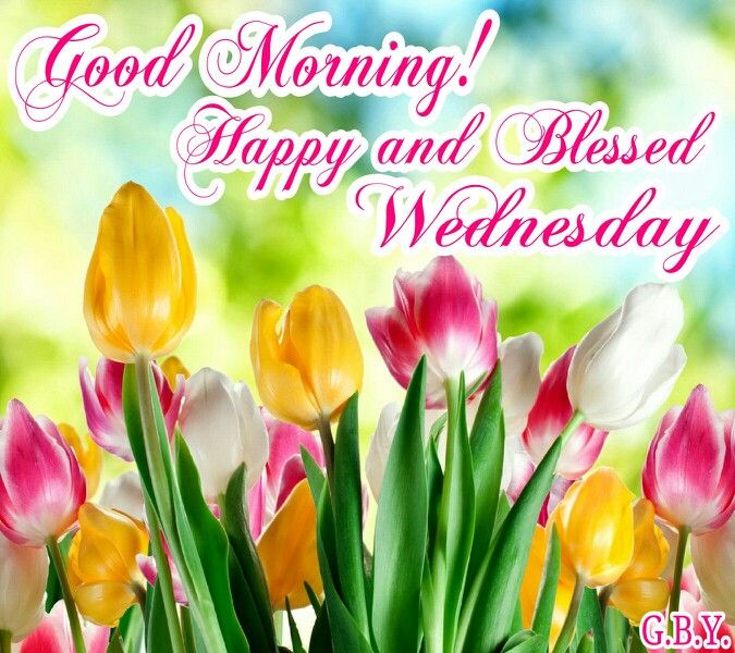 Good Morning Wishes On Wednesday Pictures Images Page 12