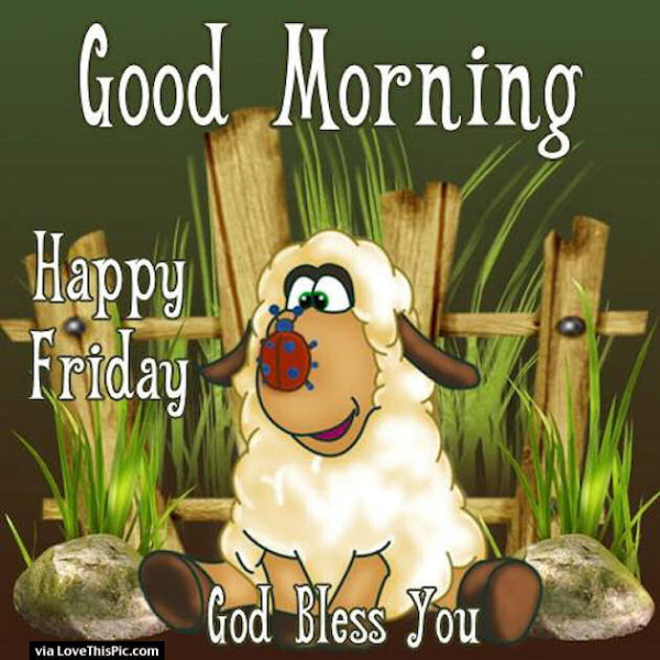 Happy Friday - God Bless You-wg01638