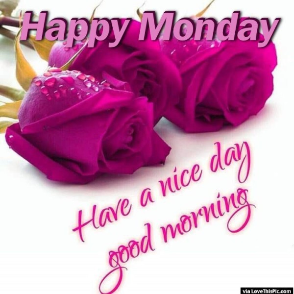 Happy Monday - Good Morning-wg015052