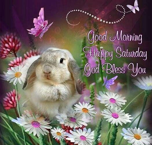 Happy Saturday God Bless-wg0608