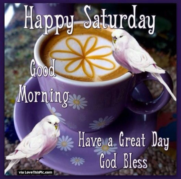 Happy Saturday Good Morning-wg01641