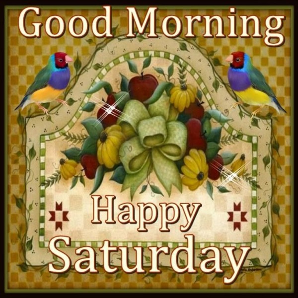 Happy Saturday Good Morning-wg01759