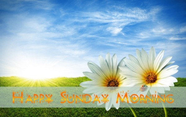 Happy Sunday Morning - Image-wg0717