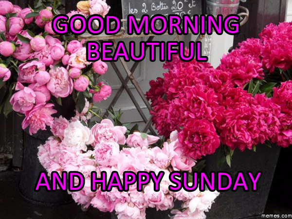 Happy Sunday-wg0721