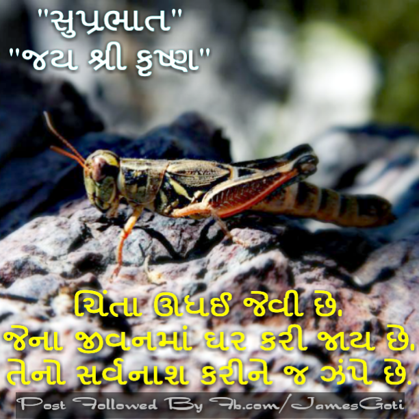 Good Morning Wishes In Gujarati Pictures Images