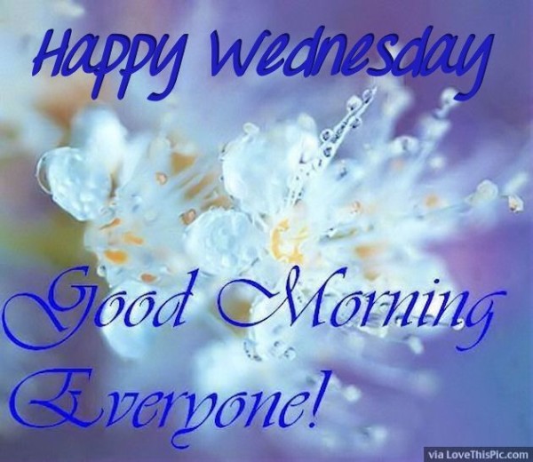 Happy Wednesday - Good Morning Everyone-wg015056