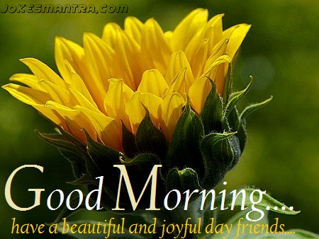 Have A Beautiful And Joyful Day Friends-wg01062