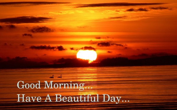 Have A Beautiful Day - Good Morning-wg6321