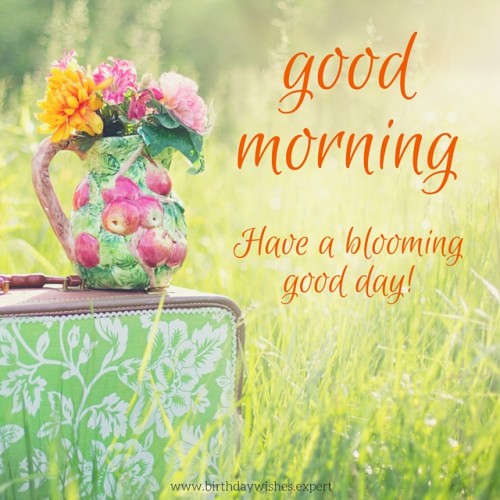 Have  A Blooming Good Day Good Morning-wg01761