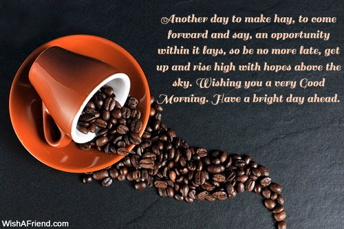 Have A Bright Day Ahead-wb0628