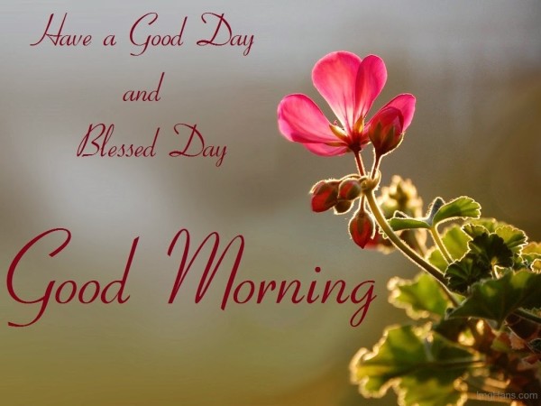 Have A Good Day And Blessed Day !-wg017132