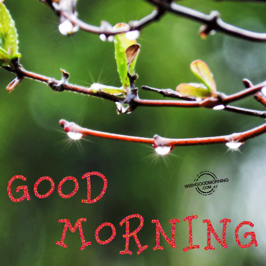 Have A Good Morning Dear-wb78061