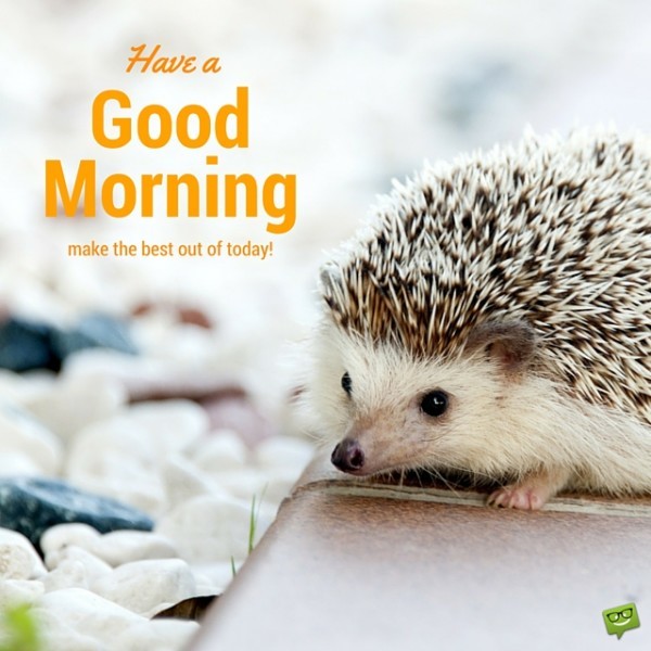 Have A Good Morning Make The Best Of Today !-wg017135