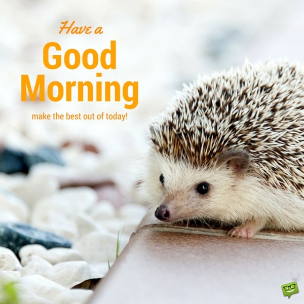 Have A Good Morning Make The Best Of Today !