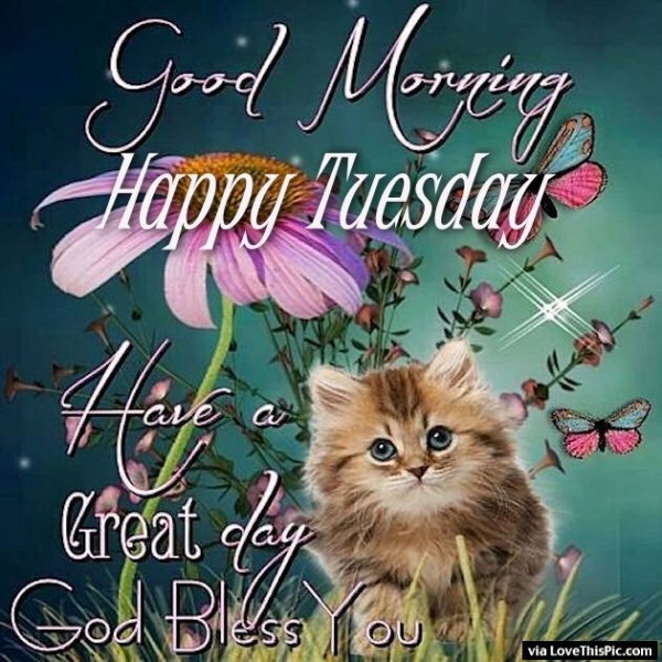 Have A Great Day - Happy Tuesday-wg01767