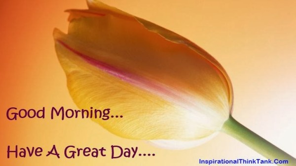 Have A Great Day !-wg01628