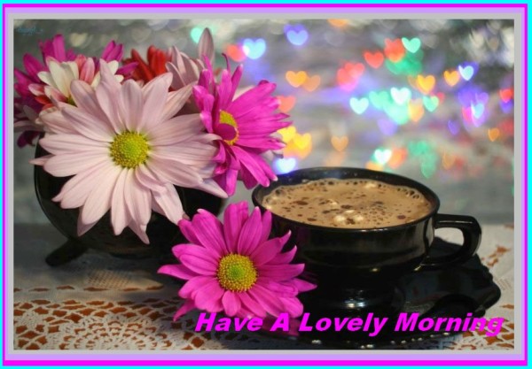 Have A Lovely Morning !-wg01770