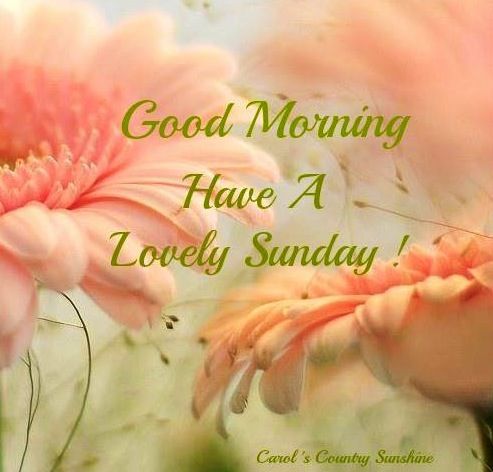 Have A Lovely Sunday -wg032