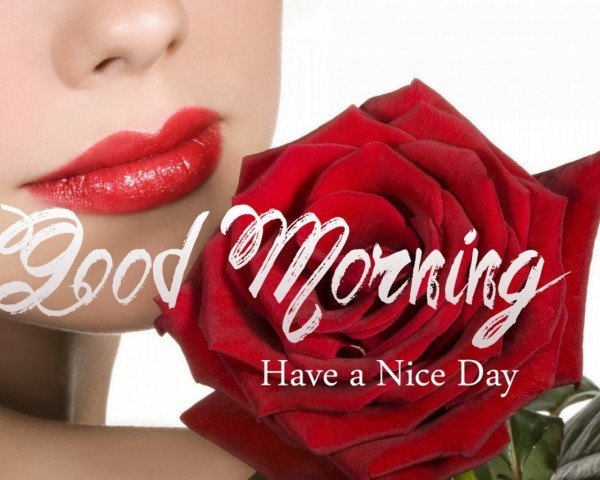 Have A Nice Day - Good Morning-wg015066