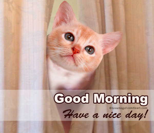 Have A Nice Day - Good Morning-wg0197